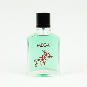 عطر و ادکلن پاییزه مگاماره