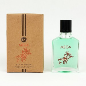 عطر و ادکلن پاییزه مگاماره