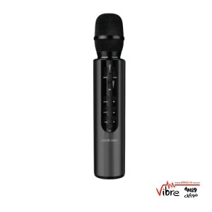 میکروفن کارائوکه گرین لاین مدل  Green lion  Karaoke Microphone