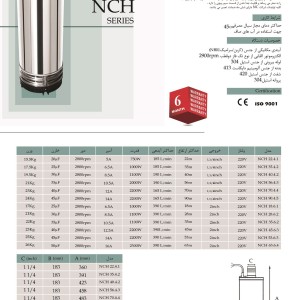کف کش 53 متری ایران پمپ 2 اینچ مدل NCH 53.6.3