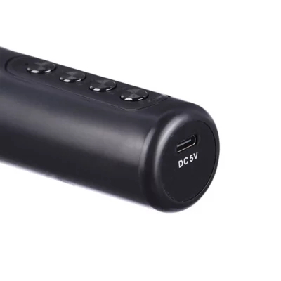 اسپیکر بلوتوثی وریتی مدل V-PS7030BT با 2 میکروفون