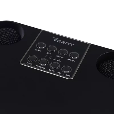 اسپیکر بلوتوثی با 2 عدد میکروفون بی سیم وریتی مدل Verity V-PS7030BT
