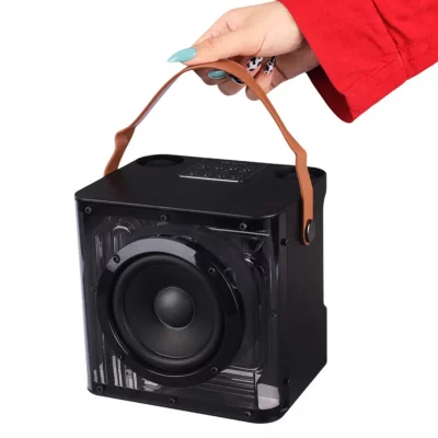 اسپیکر بلوتوثی با 2 عدد میکروفون بی سیم وریتی مدل Verity V-PS7030BT