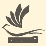آوای چلچله