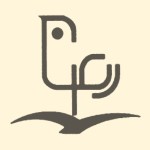 انتشارات رعنا