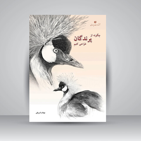 کتاب چگونه از پرندگان طراحی کنیم (انتشارات یساولی)