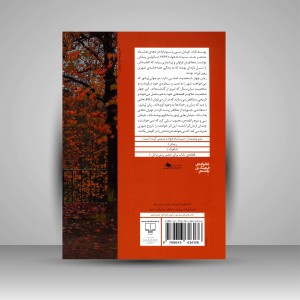 کتاب یوسف آباد، خیابان سی و سوم