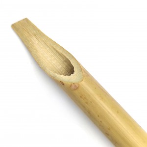قلم جنوبی