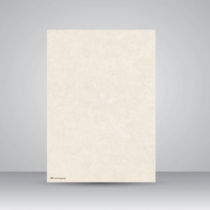 کاغذ بافت دار، 30*21 A4) cm)، کد 891 (بسته 50 عددی)