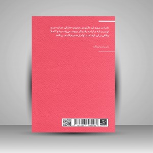 کتاب چند نامه به یک نقاش جوان (مجموعه اکفراسیس) (نشر آبان)