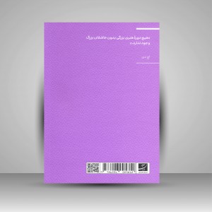 کتاب بینش و شوریدگی (مجموعه اکفراسیس) (نشر آبان)