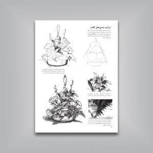 کتاب هنر طراحی از طبیعت بیجان اثر ویلیام ف. پاول