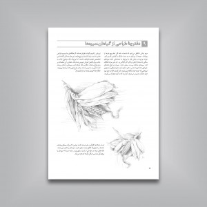 طراحی ساده از گل‌ها، میوه‌ها و سبزیجات