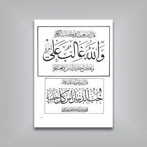 منتخب الاثار: گزیده‌ای از آثار ثلث‌نویسان ممالک اسلامی