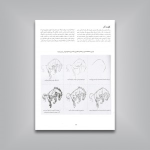 اصول آموزش طراحی از حیوانات