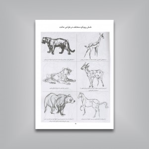 اصول آموزش طراحی از حیوانات