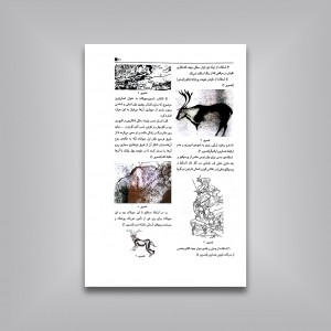درک عمومی هنر