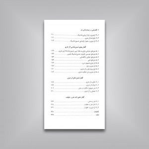 گفتارهایی در پدیدارشناسی هنر