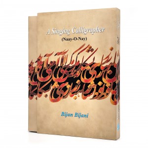 نای و نی