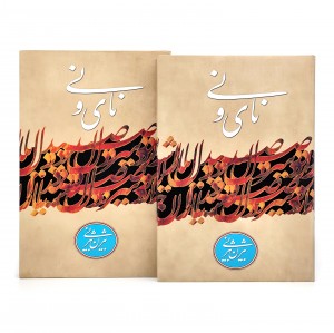 نای و نی