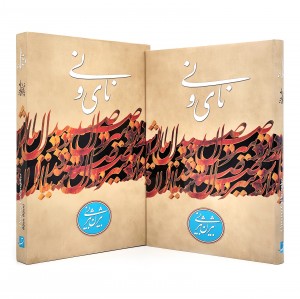 نای و نی