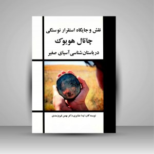 کتاب نقش و جایگاه استقرار نوسنگی چتال هویوک در باستان شناسی آسیای صغیر (نشر مارلیک)