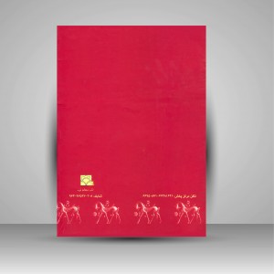 کتاب مروری بر پنجاه سال باستان شناسی ایران (نشر سبحان نور)