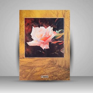 آلبوم صفورا (برگزیده آثار آرش دیری زاده) (انتشارات میردشتی)