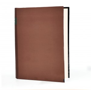 کتاب شاخه نبات حافظ