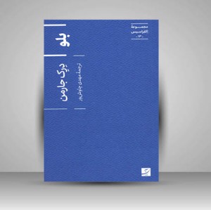 کتاب مجموعه اکفراسیس 13 (بلو) ( نشر آبان)