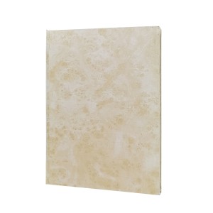 کتاب غزلیات حافظ (بخط مهدی فلاح)