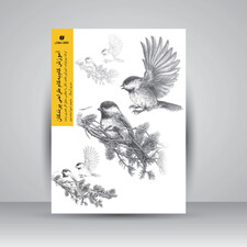 کتاب آموزش گام به گام طراحی پرندگان اثر موری آسِنگ (انتشارات یساولی)