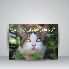 کتاب گربه های خیابانی ایران من (انتشارات برگ نو)