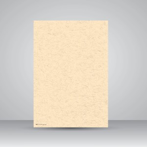 کاغذ بافت دار، 30*21 A4) cm)، کد 852 (بسته 10 عددی)