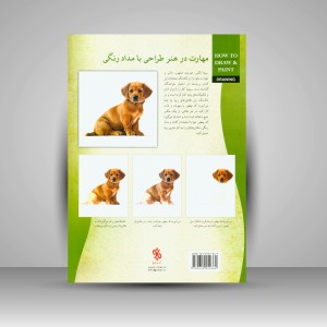 کتاب اصول طراحی با مدادرنگی (نشر چاو)