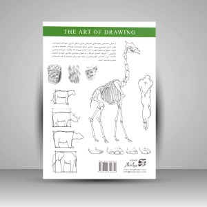 کتاب طراحی حیوانات وحشی: چگونه فیل، ببر، شیر و سایر حیوانات را طراحی کنیم (نشر برگ نگار)
