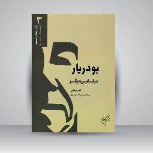 کتاب بودریار در قابی دیگر (نشر فرهنگستان هنر)
