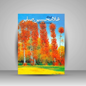 کتاب گزیده آثار غلامحسین صابر (بهشت نور و رنگ) (چاپ و نشر نظر)