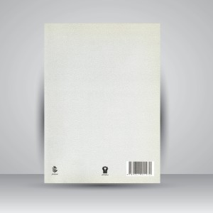 کتاب زیور، از منظره نگاره (زیورآلات ایرانی از منظر نقاشی های دوره قاجار در کاخ گلستان)  (نشر سیمای دانش)