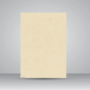 کاغذ بافت دار، 50*35 cm، کد 869 (بسته 50 عددی)