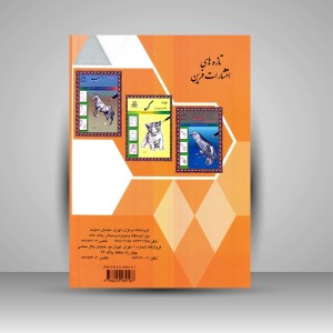 کتاب پرتره کودکان: طراحی با کاغذ شطرنجی (نشر فرین)