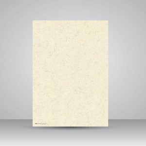 کاغذ بافت دار، 30*21  A4) cm)، کد 884 (بسته 10 عددی)
