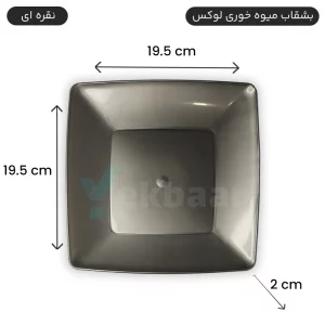 بشقاب یکبارمصرف میوه خوری لوکس 6 عددی رنگ نقره ای - برند کوشا پلاست