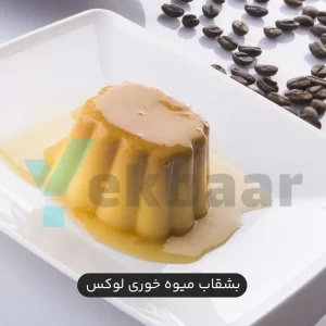 بشقاب میوه خوری یکبارمصرف نقره ای سفید 6 عددی