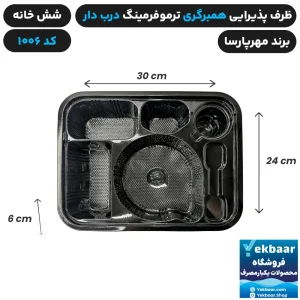 خرید ظرف یکبار مصرف درب دار شش خانه همبرگری کد 1006 - برند مهرپارسا