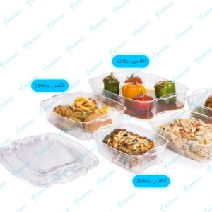 ظرف الگانس 3500cc شماره چهار - 1 عددی