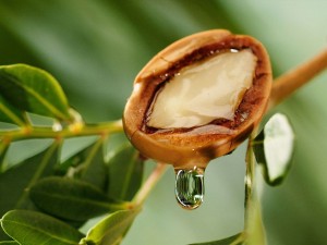 روغن آرگان در مراقبت از پوست: فواید و نحوه استفاده از آن (مطلب)