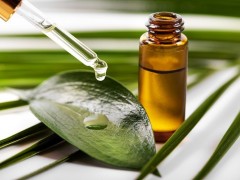 خواص روغن درخت چای (مطلب)