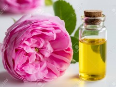 روغن ماساژ گل رز (مطلب)